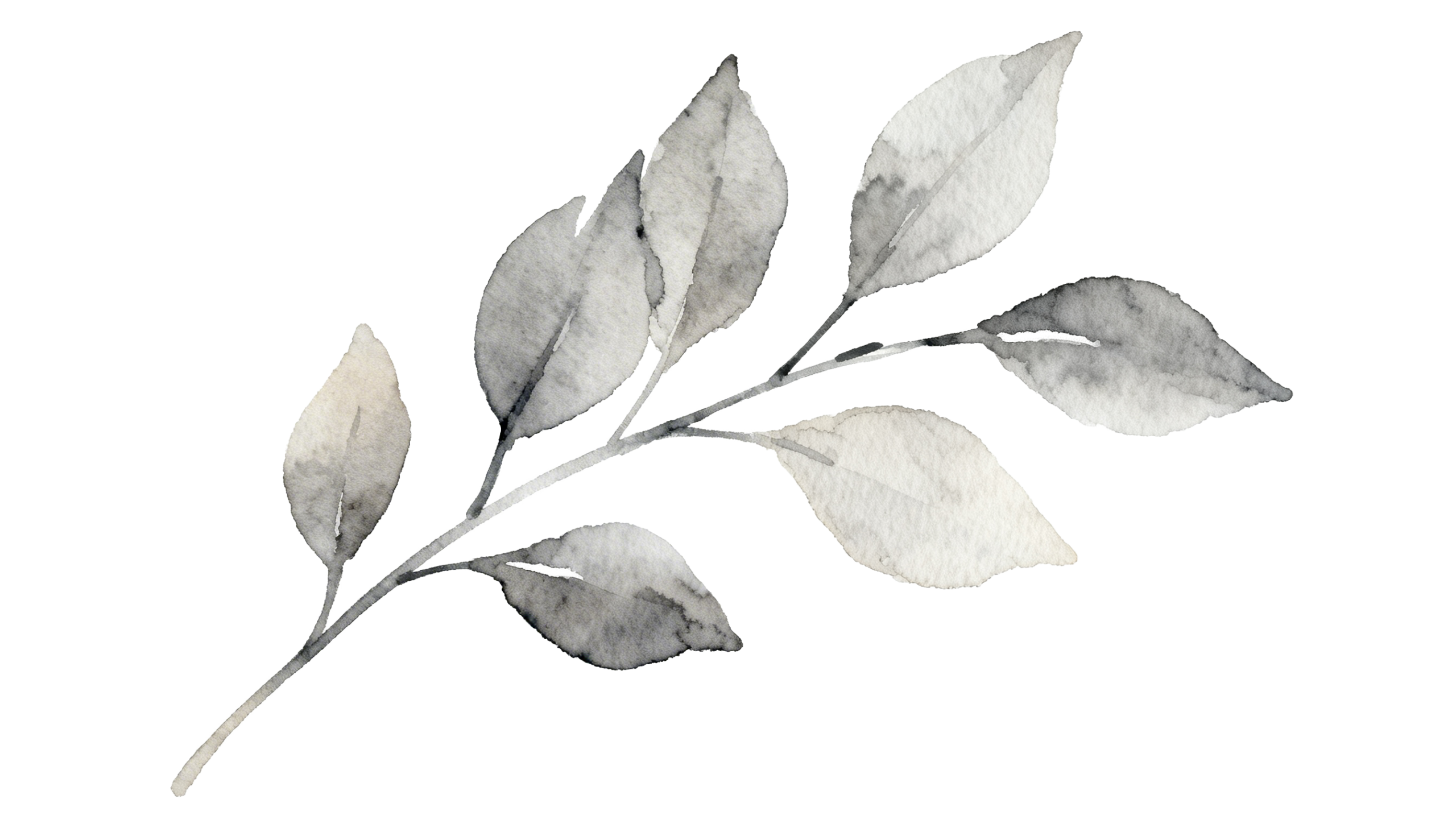 ماجدة
